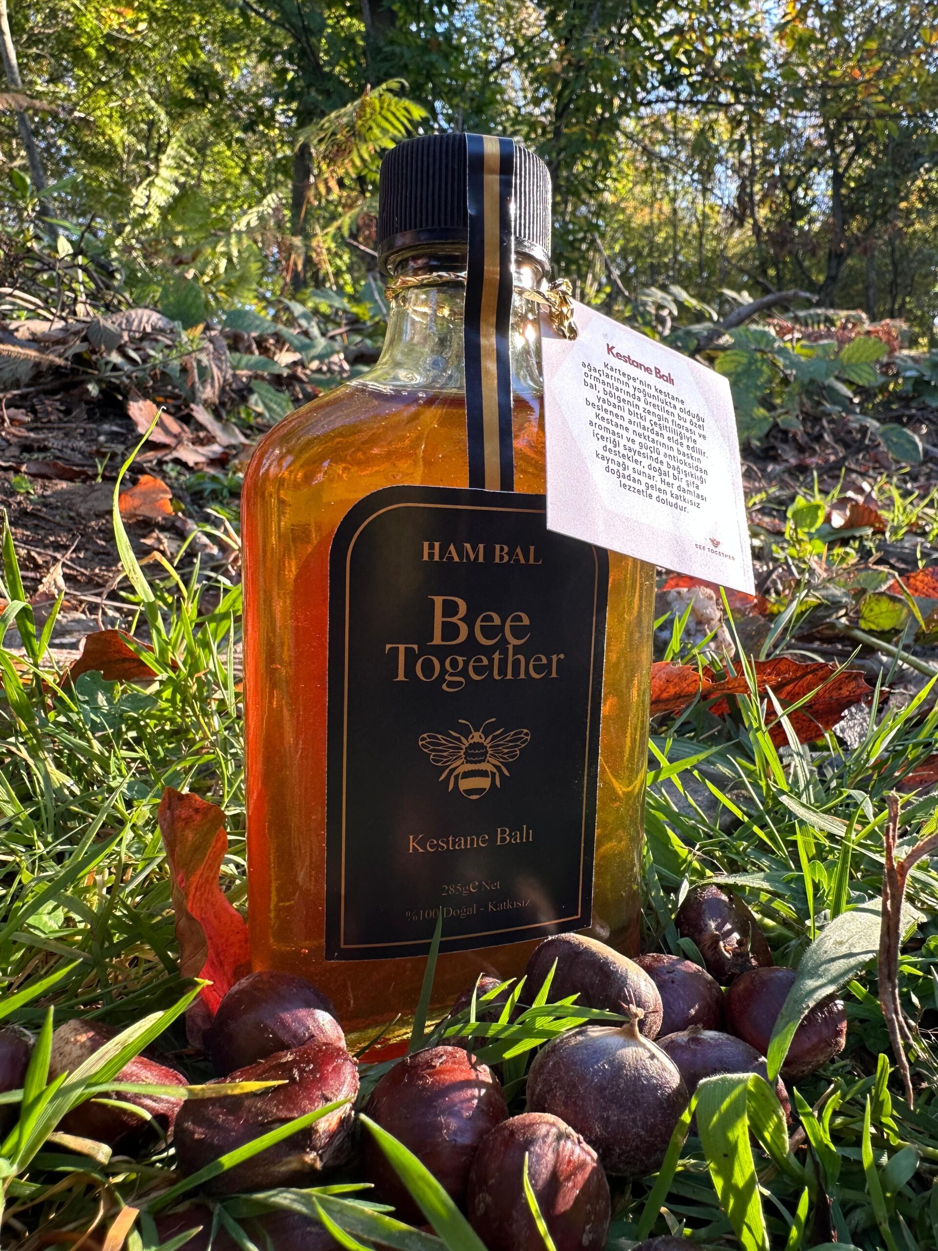 Bee Together Farm doğal arı ürünleri - kestane balı